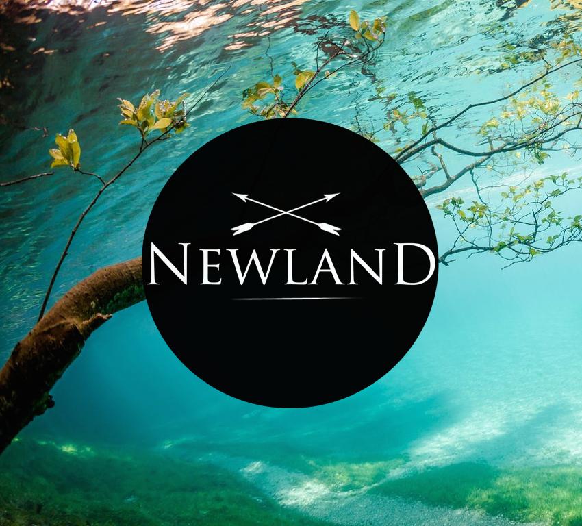 logo_newland_ohne_beschriftung_-_kopie.png